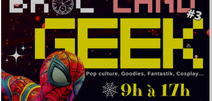 La Broc'Land Geek de Melun - Stockage pour votre matériel d'archive informatique